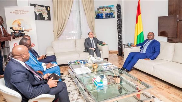 السفير المصري في