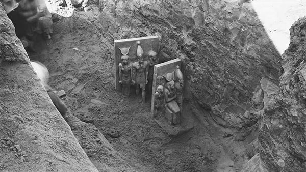 صور فريدة لاكتشاف