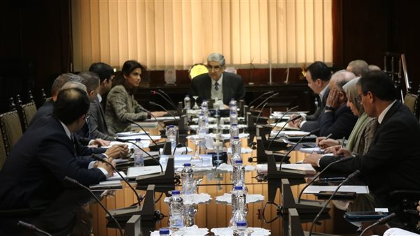 وزير الكهرباء 