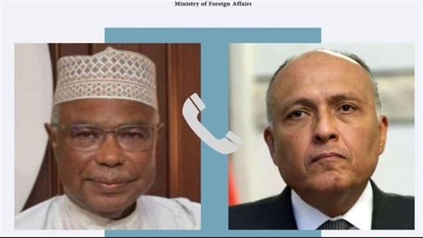 شكري والأمين العام