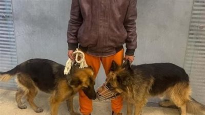 الأمن يضبط صاحب فيديو ترويع المواطنين بالكلاب في القاهرة.. والنيابة تتولى التحقيق