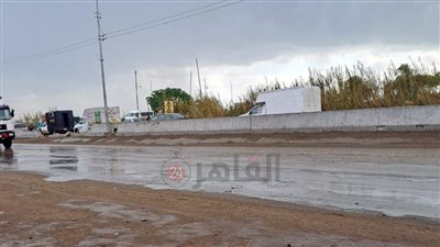 استمرار انخفاض درجات الحرارة وسقوط أمطار متوسطة في الغربية | صور