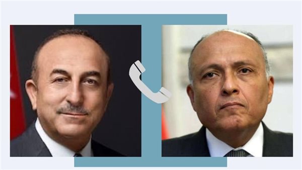 وزير الخارجية ونظيره