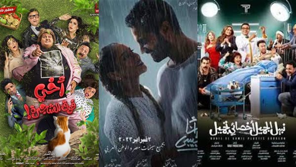 فيلم نبيل الجميل