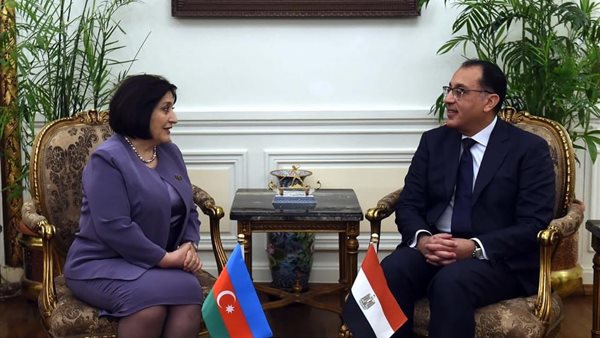 رئيس الوزراء يستقبل