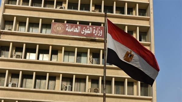 القوى العاملة 