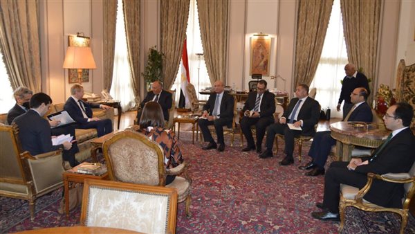 وزير الخارجية والمبعوث