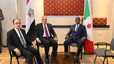 وزير الري: دولة بوروندي تدعم الموقف المصري في قضايا المياه