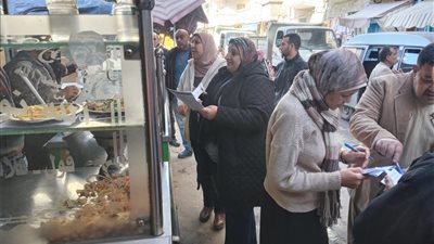 غلق 19 منشأة خلال حملات رقابية بأسواق الإسكندرية 