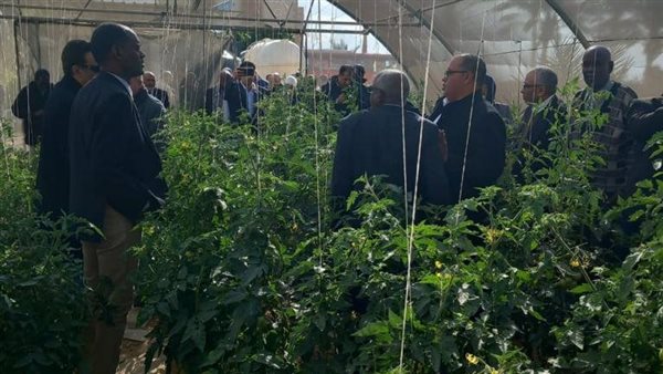 جانب من الزيارة