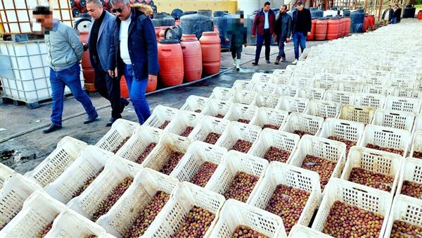 ضبط 100 طن مخلل بمصنع