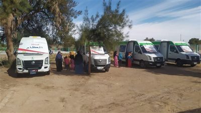  الكشف على 448 حالة ضمن قافلة حياة كريمة الطبية بقرية فلسطين في الوادي الجديد