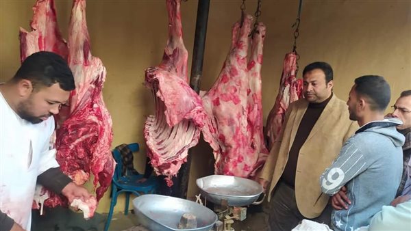 حملات تفتيشية بالمنيا