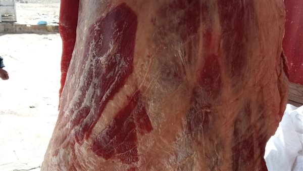 حملات تموينية مكبرة