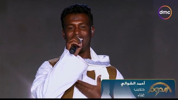 أحمد الشوالي