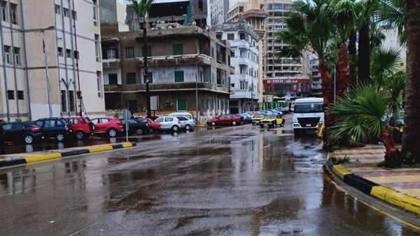 شوارع الإسكندرية