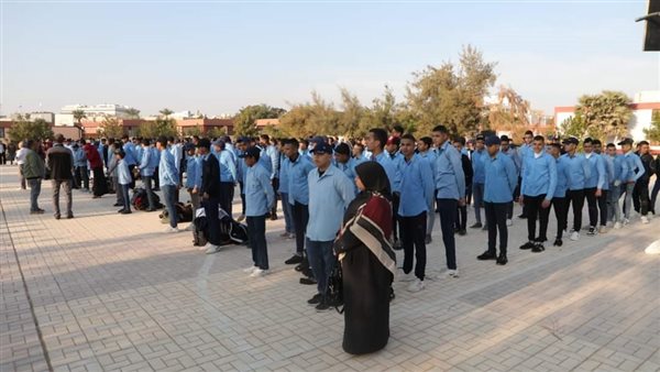 طبور صباحي بالوادى