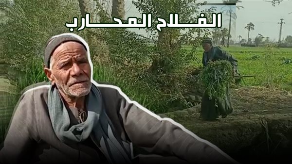 العم عبد الحميد صاحب