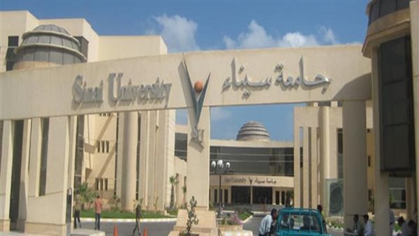 جامعة سيناء 