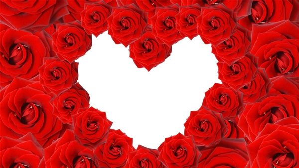 صور ورد عيد الحب