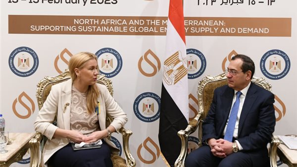 وزير البترول والثروة