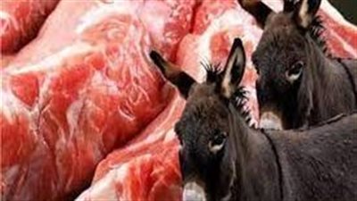 بيطري القاهرة يشن حملات مكثفة بعد تصريحات أحد ملاك المطاعم ببيع ممبار وفشة الحمار 