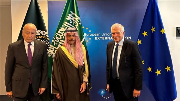 أبوالغيط ووزير الخارجية