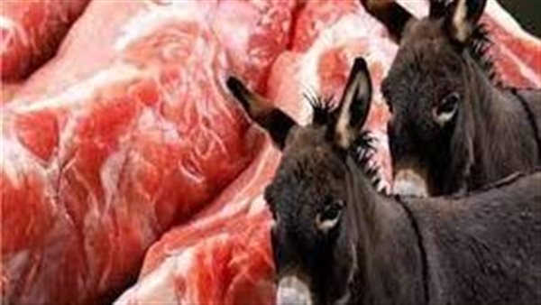 لحوم حمير ـ تعبيرية