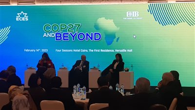 رئيس قطاع التمويل بالتجاري الدولي: البنك دعم الكثير من المشروعات الخضراء