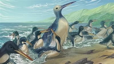  أكبر طائر عاش على الأرض قبل 57 مليون سنة يزن 154 كجم 