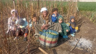 لديه 47 ابن وحفيد.. «الجد محمد» 84 سنة ولسه بيزرع أرضه بأيده: الجبنة والبصل عشقي| فيديو 