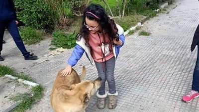 طريقة مبتكرة.. كيف احتفل فريق إنقاذ الحيوانات والسلاحف في الإسكندرية بعيد الحب؟