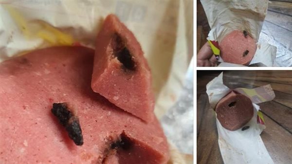 لانشون بفضلات الفئران