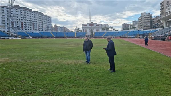 استاد الأسكندرية