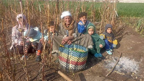 الجد محمد وأحفاده