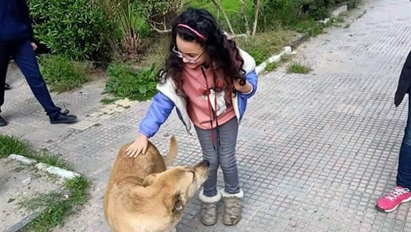 فريق إنقاذ السلاحف