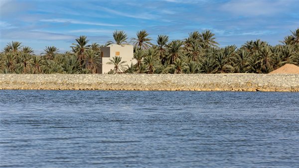  تطوير واحة سيوة