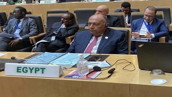 سامح شكري وزير الخارجية