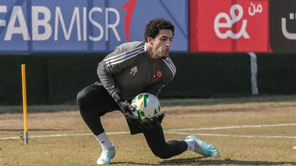 مصطفى شوبير