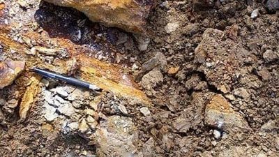 ربّ ضارة نافعة.. فواجع الزلازل تخرج ذهبا وتطرد الأسماك للبر