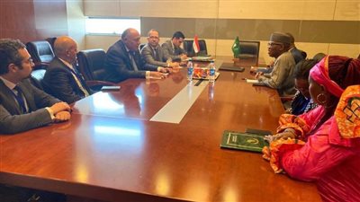 وزير الخارجية يؤكد اهتمام مصر بملف إعادة الإعمار والتنمية في القارة الإفريقية