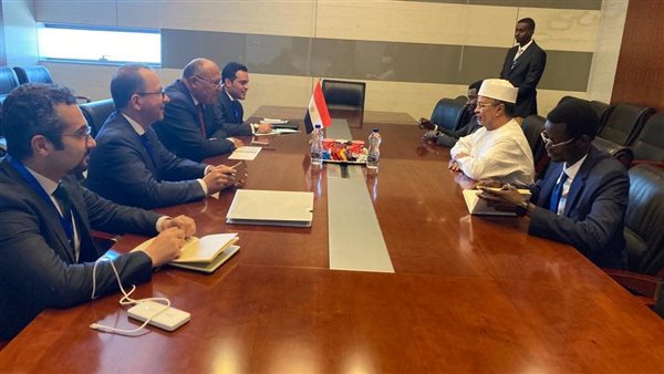 وزير الخارجية يلتقي