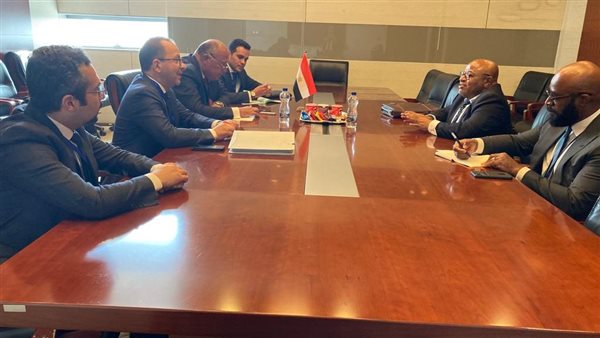 وزير الخارجية والمبعوث