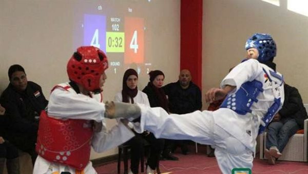 الباراتايكوندو