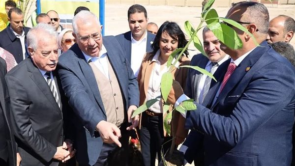 محافظ جنوب سيناء