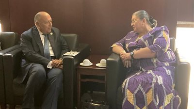 وزير الخارجية يلتقي مبعوثة سكرتير عام الأمم المتحدة للقرن الإفريقي