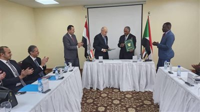 الخرطوم تشكر السيسي لإعفاء السودانيين في مصر من غرامات مخالفات الإقامة | صور