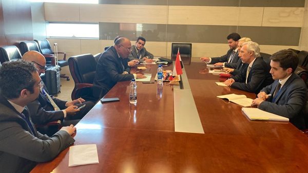 شكري يلتقي وزير خارجية