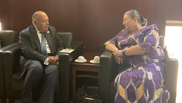 وزير الخارجية ومبعوثة