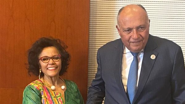 وزير الخارجية يلتقي